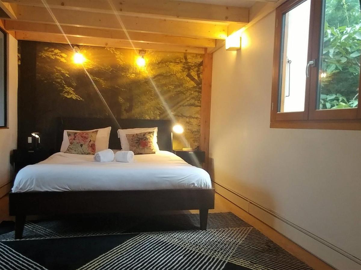 Maison Jardin Et Parking Prive Dans Grenoble Zewnętrze zdjęcie